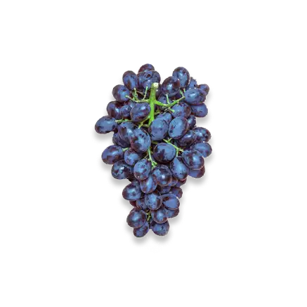 Grapes