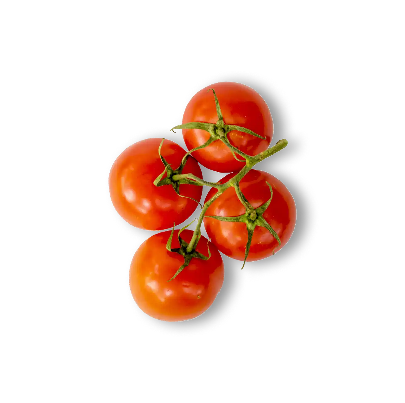 Tomatoes